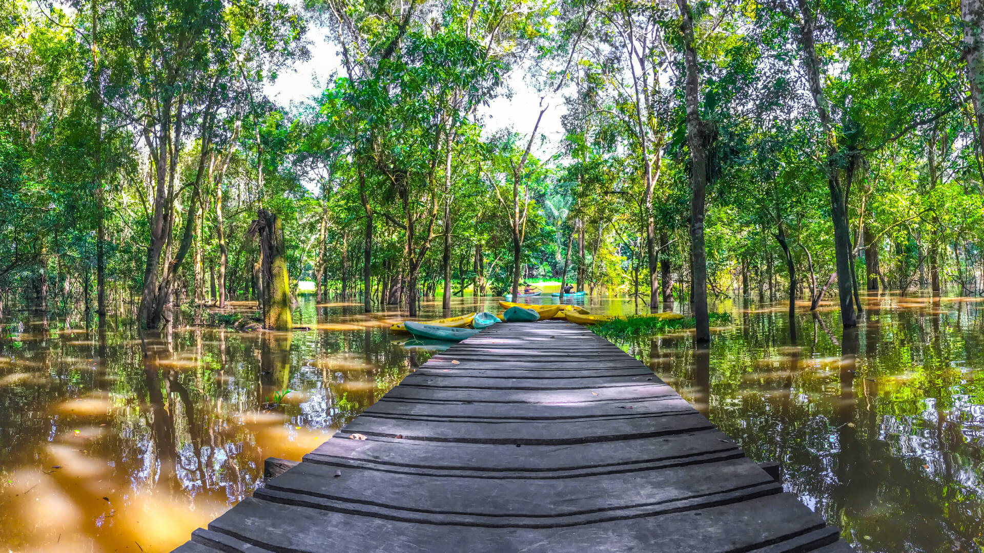 Paisajes en el Amazonas los cuales puedes disfrutar con nuestros planes turístico
