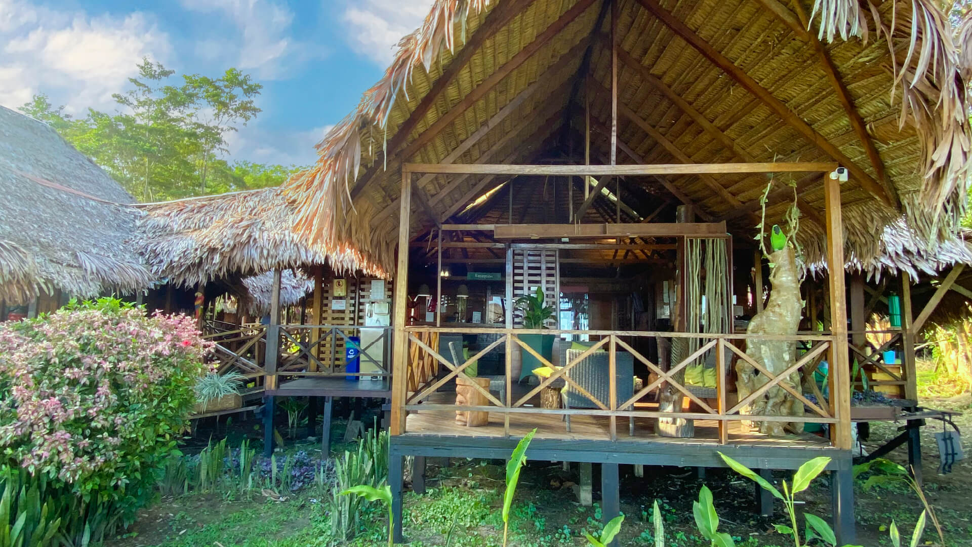 Hotel Amzon en Amazonas el cual puedes disfrutar con nuestros planes turístico